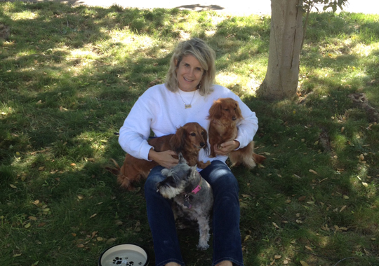 Pet Concierge by the Sea